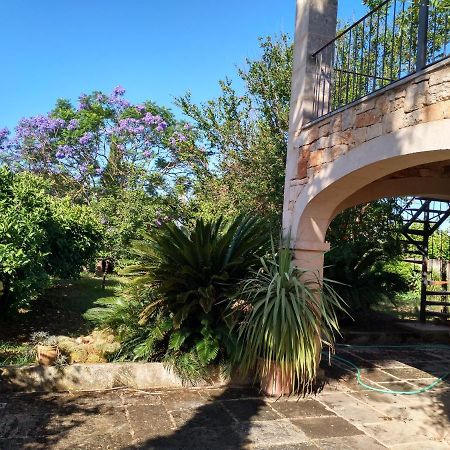 Lujosa Casa Mallorquina Restaurada 塞萨利内斯 外观 照片