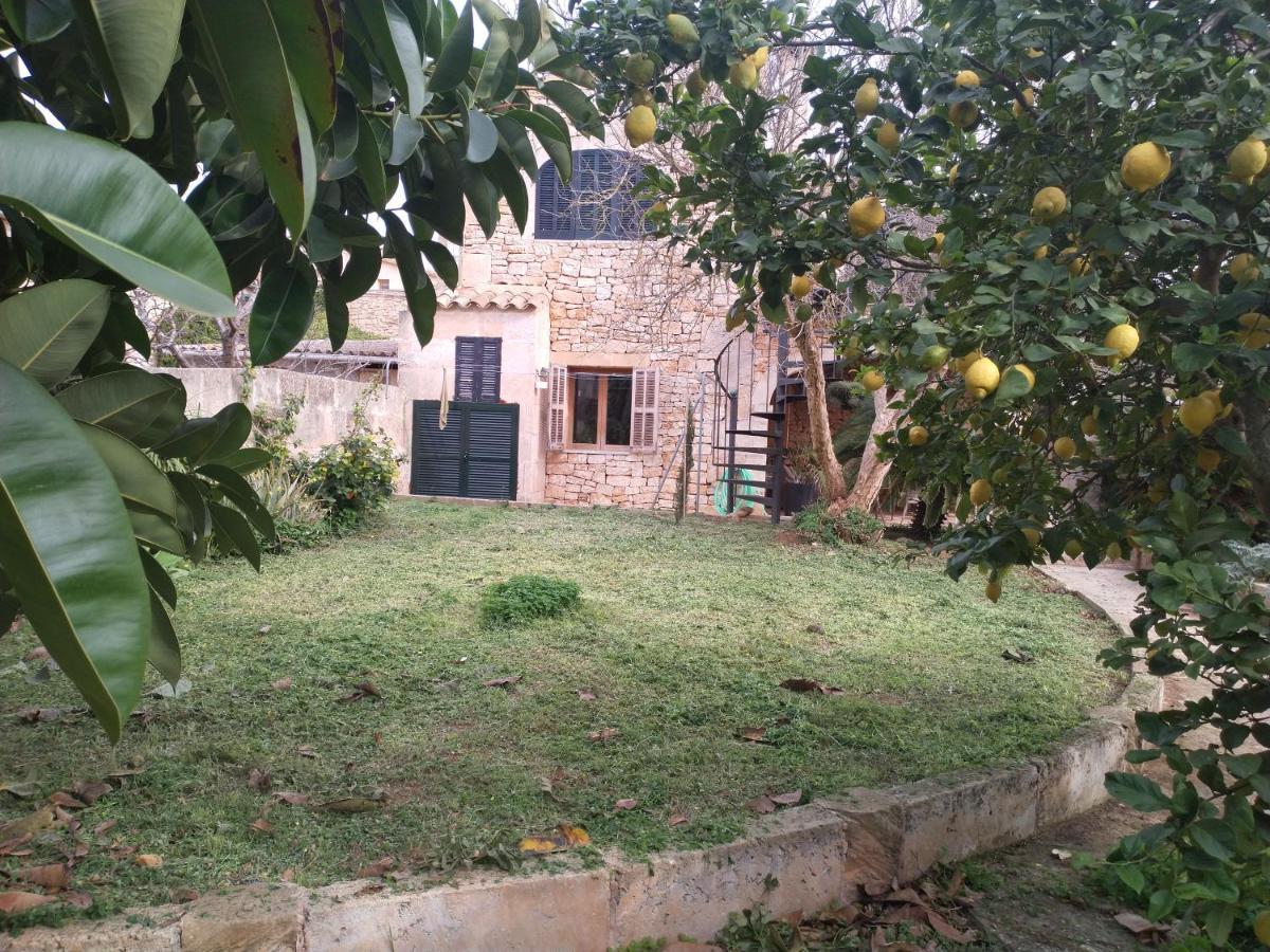 Lujosa Casa Mallorquina Restaurada 塞萨利内斯 外观 照片