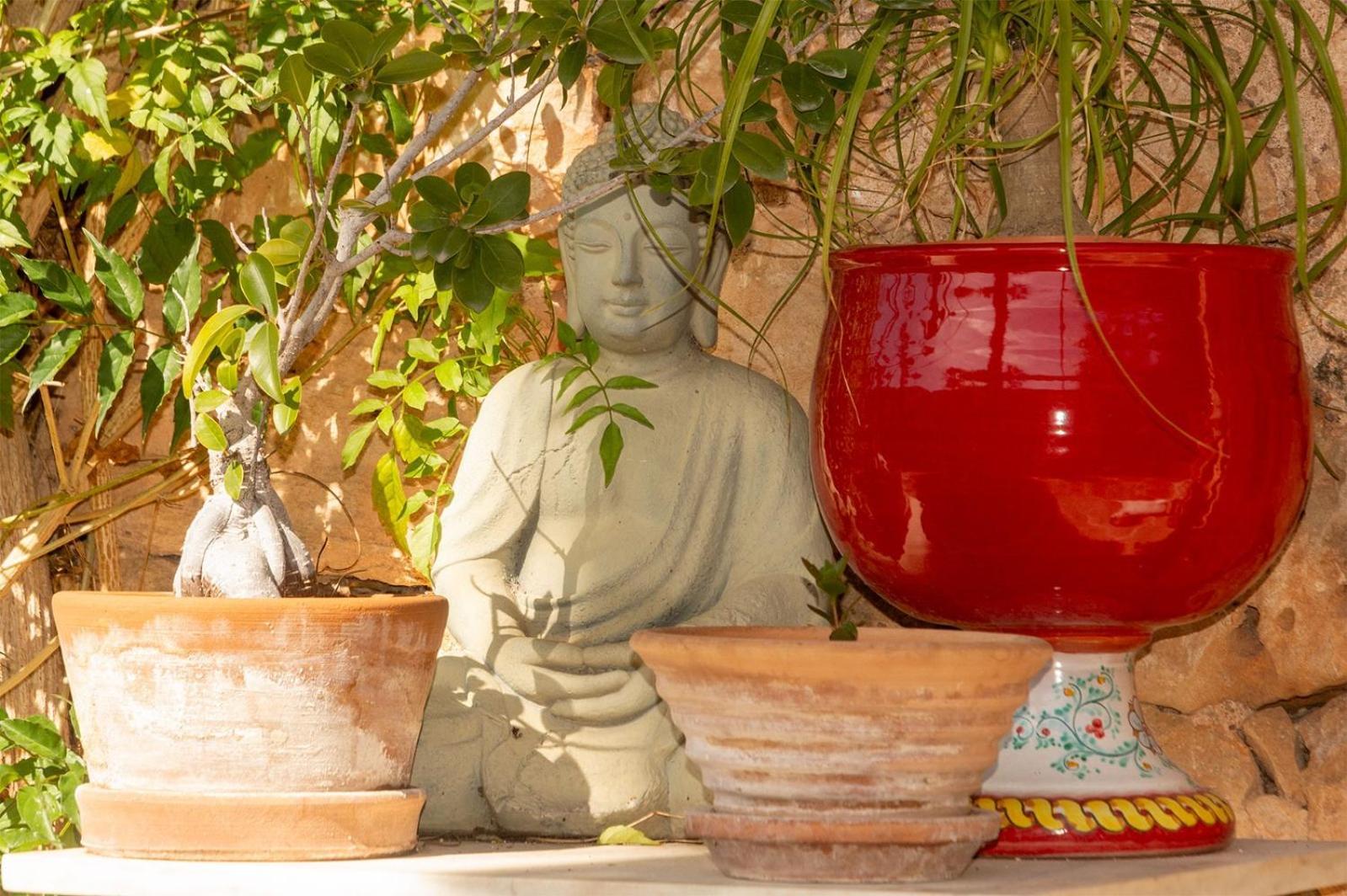 Lujosa Casa Mallorquina Restaurada 塞萨利内斯 外观 照片
